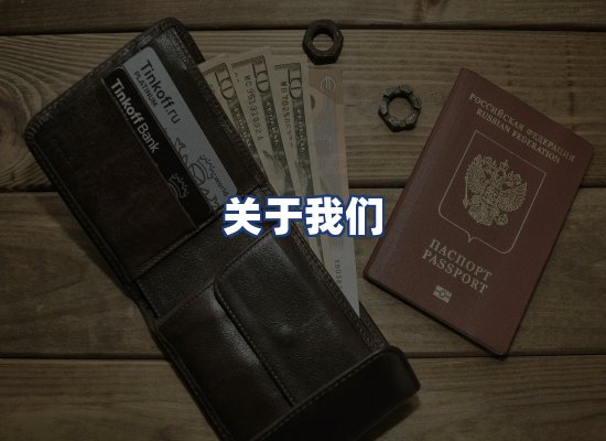 关于我们